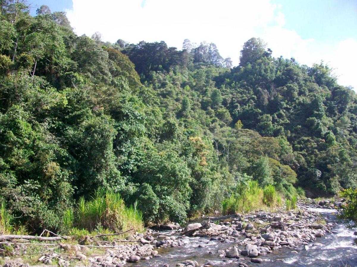 Kasaguadua - Reserva Natural Salento Zewnętrze zdjęcie