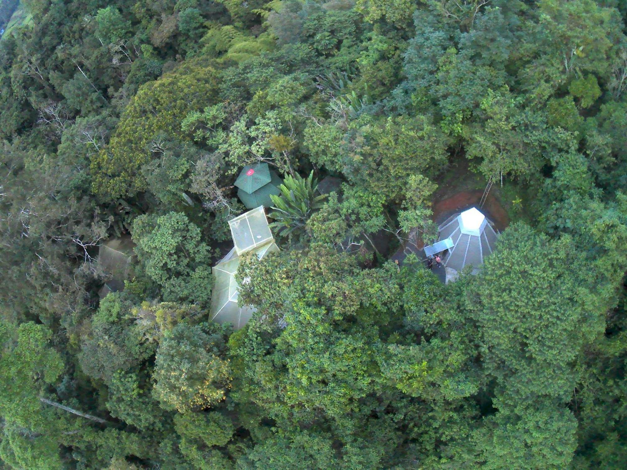 Kasaguadua - Reserva Natural Salento Zewnętrze zdjęcie