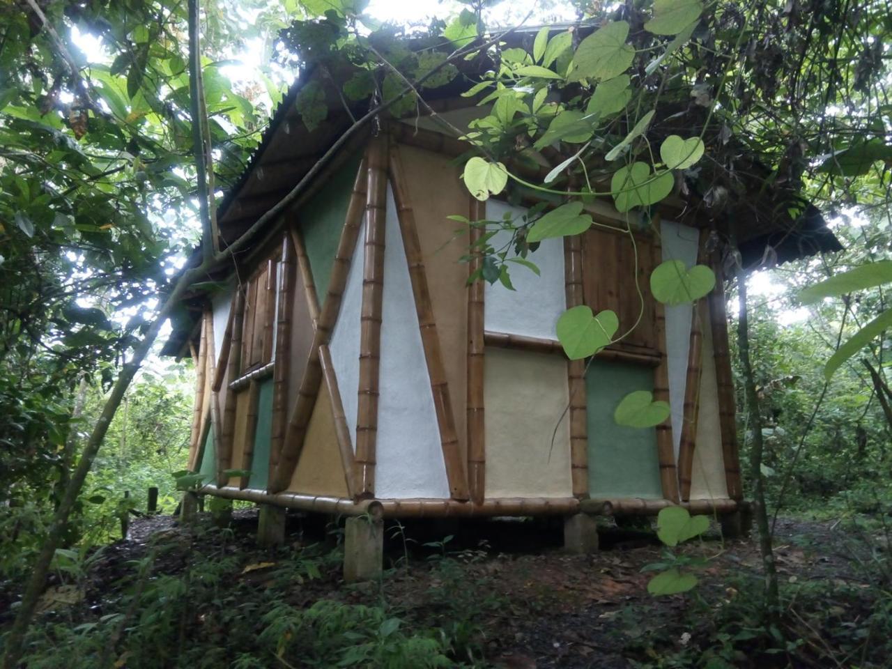Kasaguadua - Reserva Natural Salento Zewnętrze zdjęcie